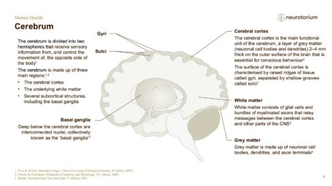 Mental Health – Fundamentals of Neurobiology – slide 6